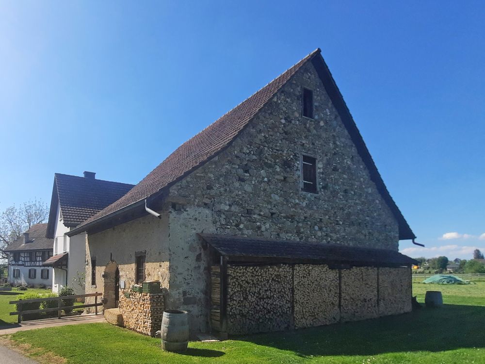 Burgtrotte Wespersbüel