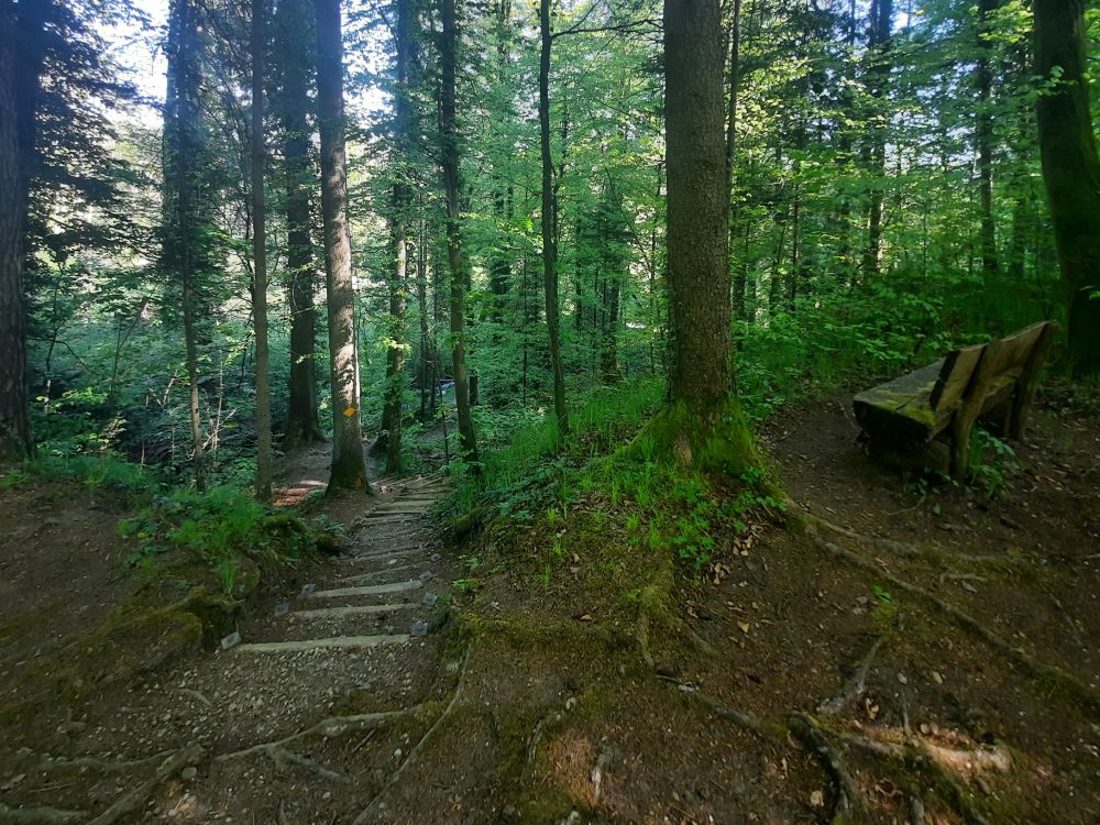 Treppe zum Mederbach