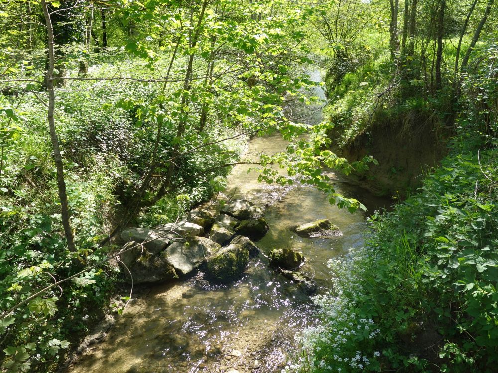 Mederbach