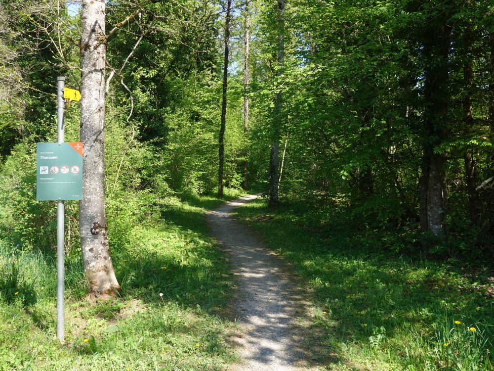 Pfad in Naturschutzgebiet