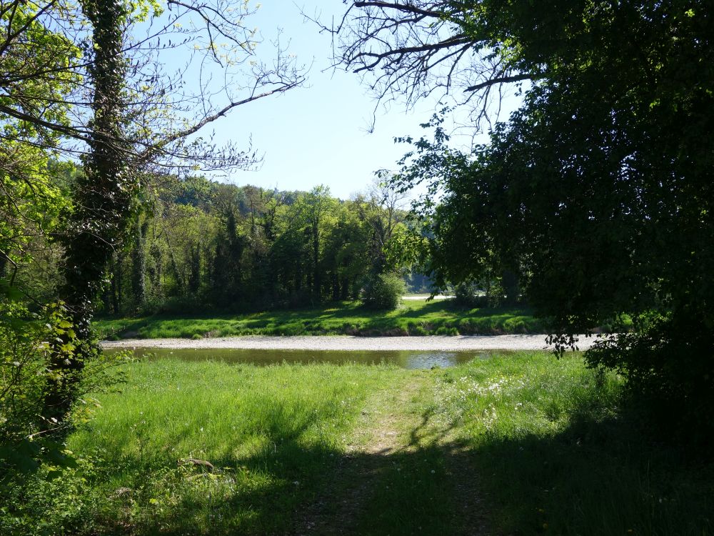 Wiesenpfad zur Thur