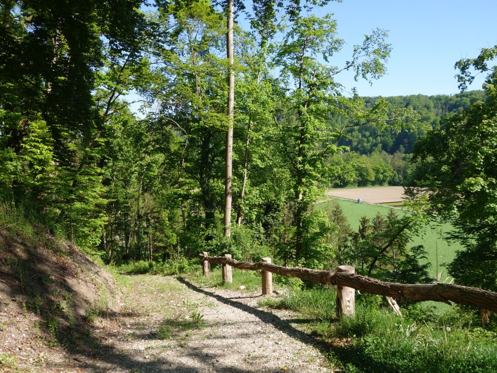 Weg am Hofrain