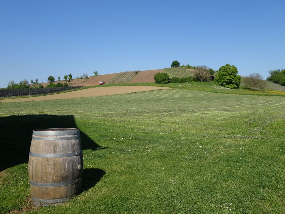 Blick zum Hummenberg