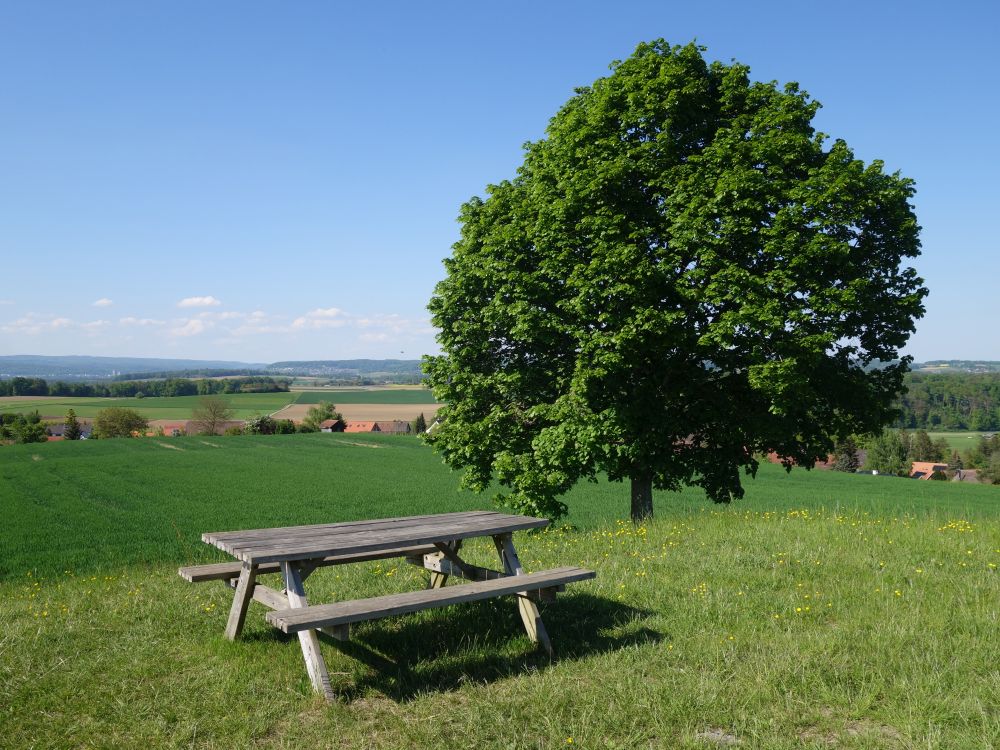 Sitzbank auf dem Hummenberg