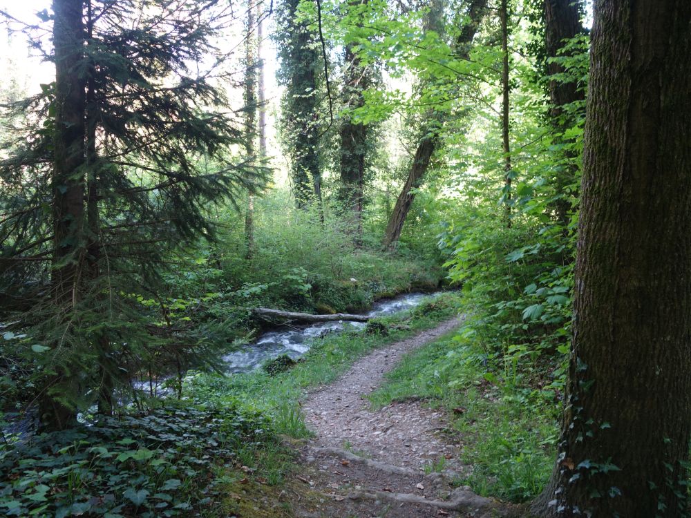Pfad am Mederbach