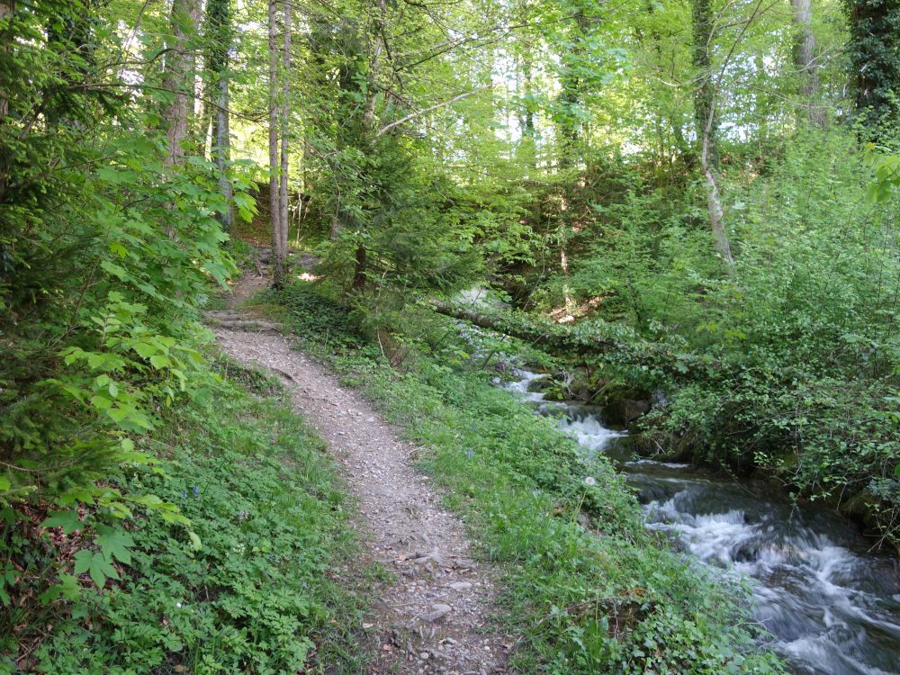 Pfad am Mederbach