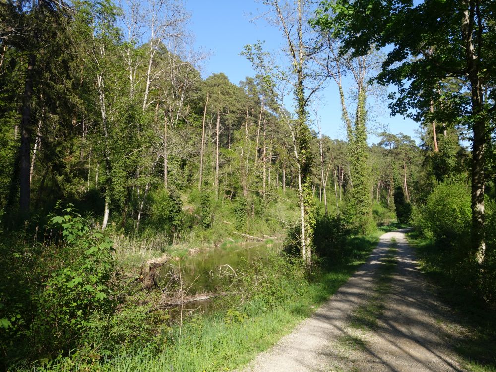 Weg am Moor