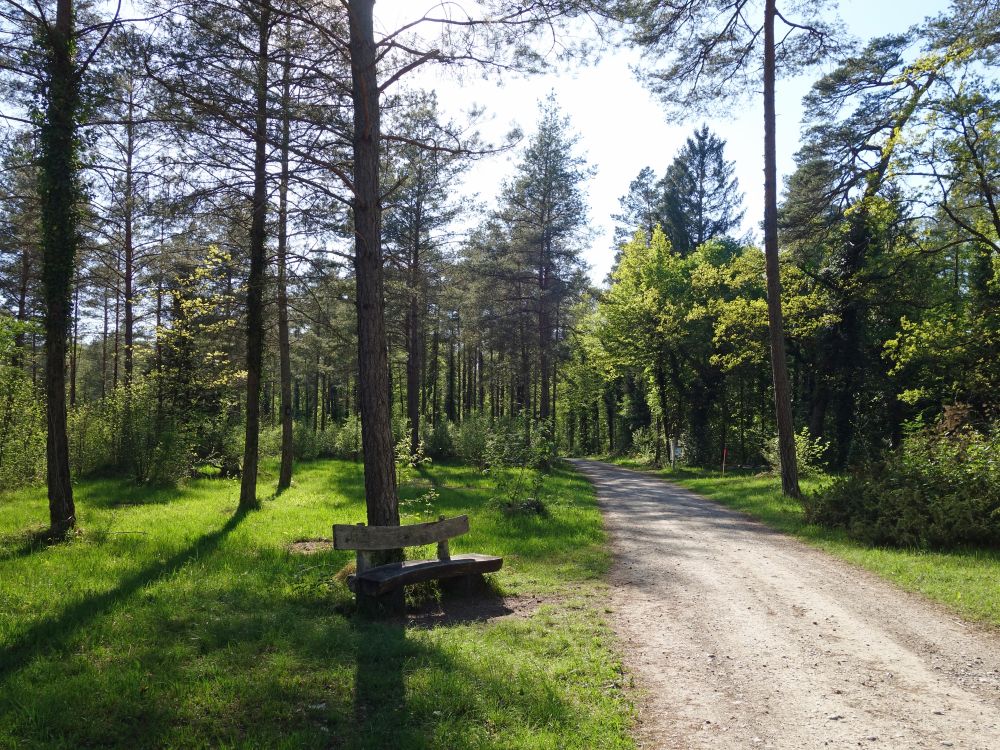 Sitzbank am Wegesrand