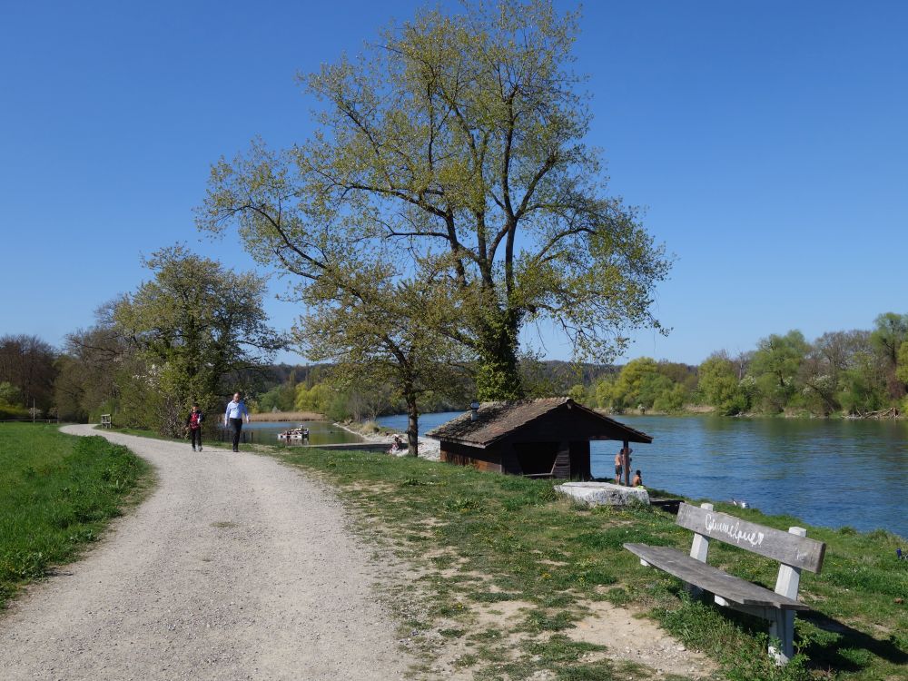 Weg am Rheinufer