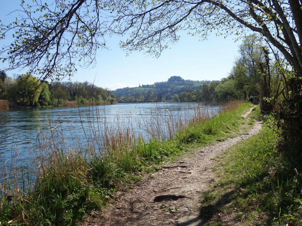 Wanderweg am Rhein