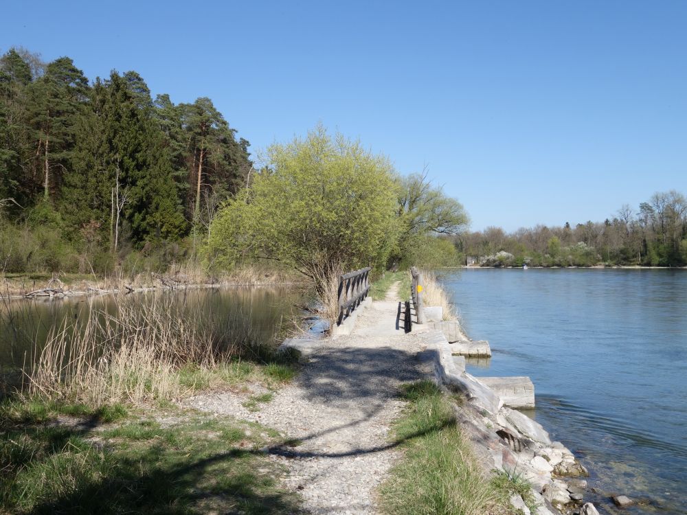 Steg am Rhein