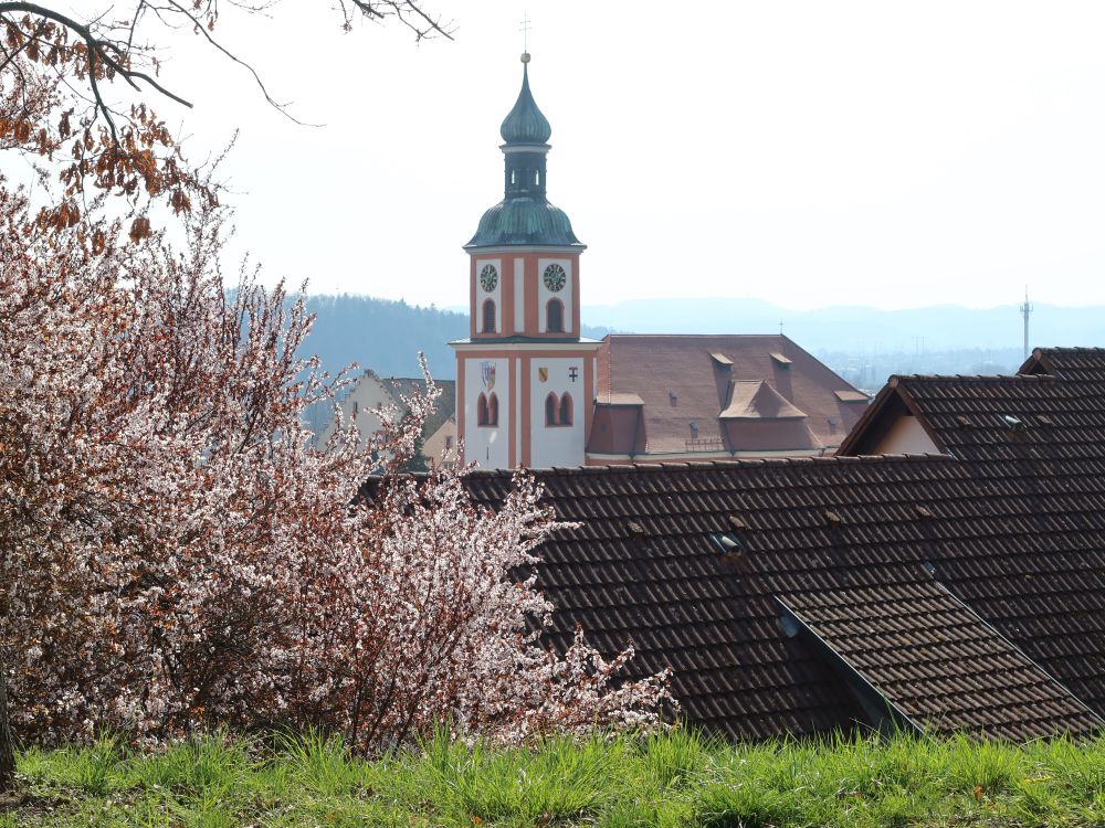 Kirche Maria Himmelfahrt