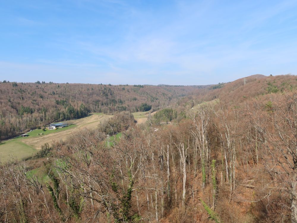 Blick zum Antoniushof