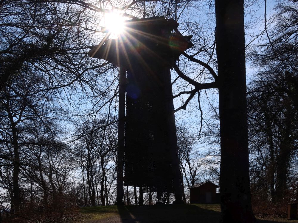 Vitibuckturm im Gegenlicht