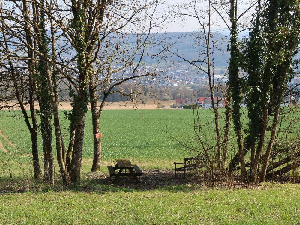 Sitzgruppe zwischen Baumgruppe