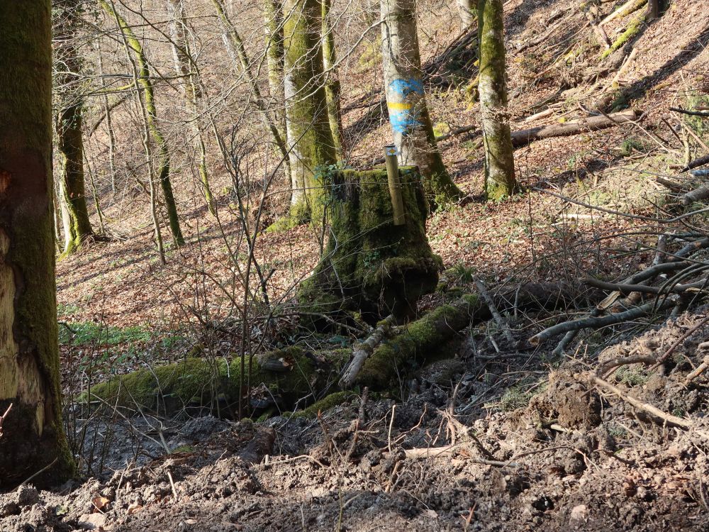 Wanderwegmarkierung ohne Weg