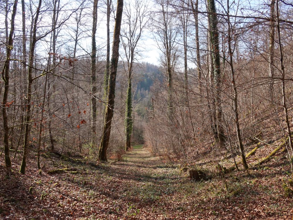 unsichtbarer Wanderpfad