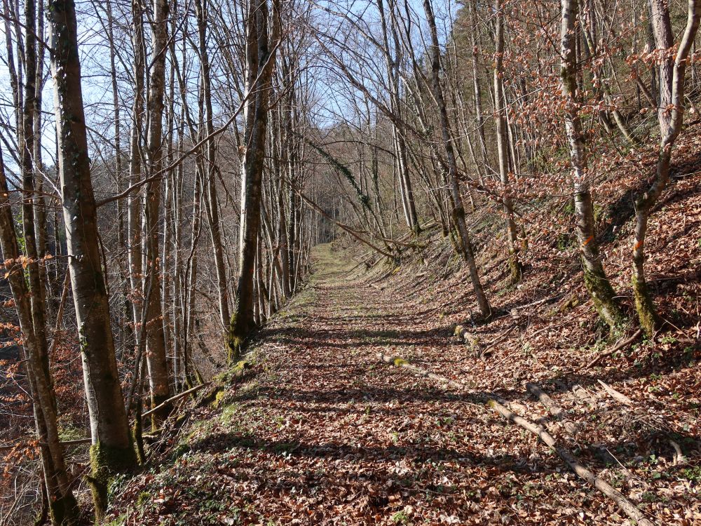 Fussweg zur Zwölferhütte