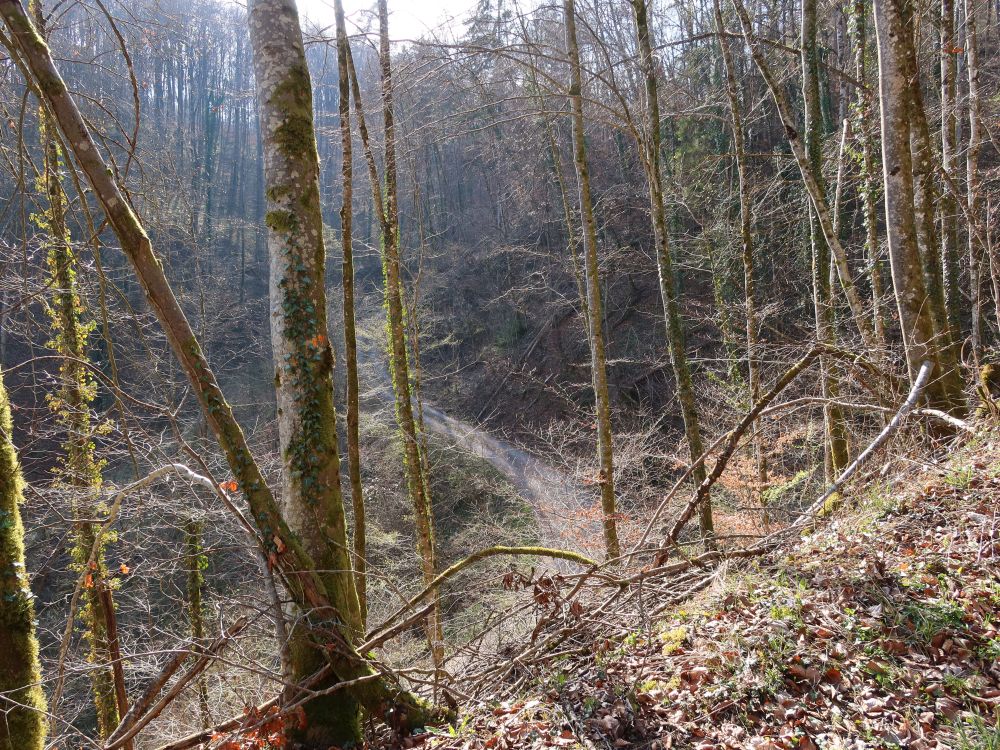 Blick zum Steinbruchweg