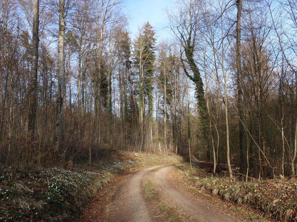 Oberer Sechserweg