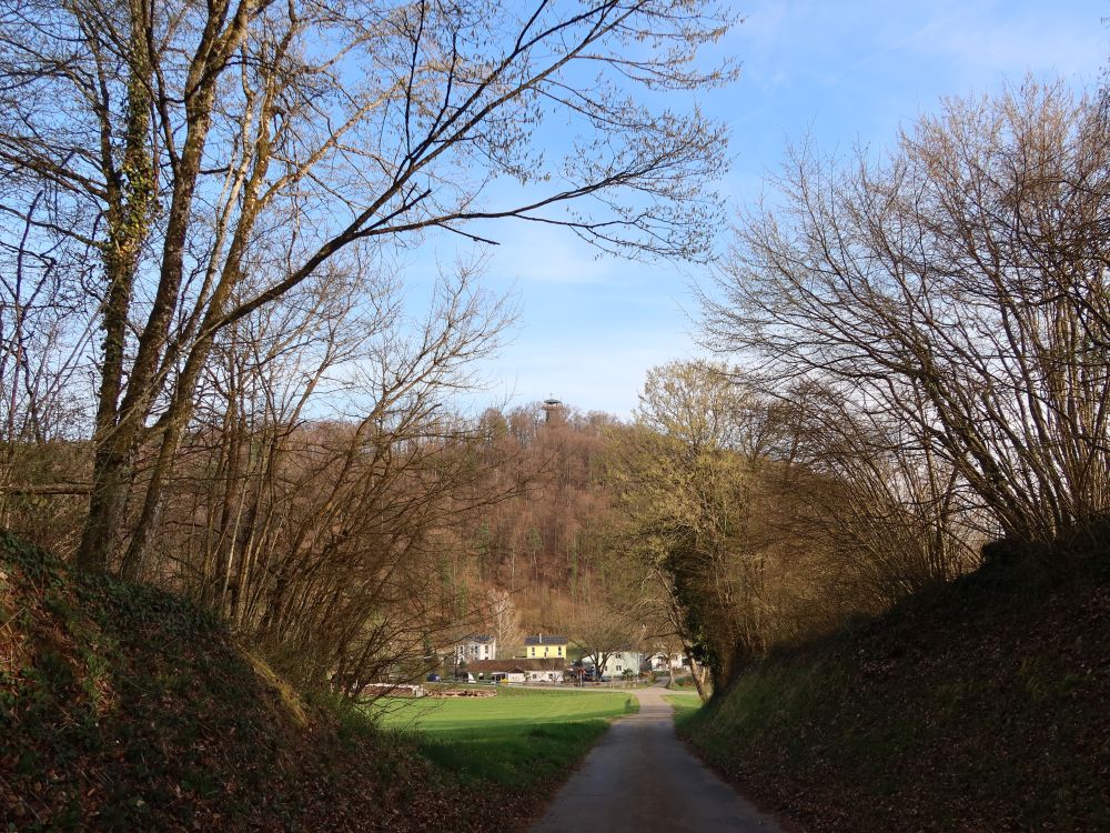 Blick zum Vitibuckturm