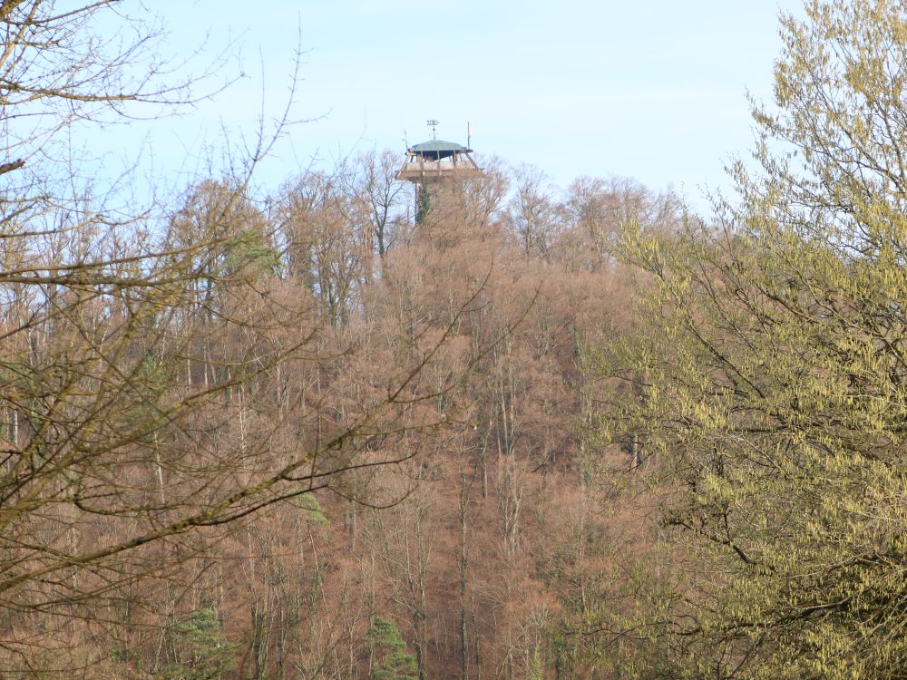 Vitibuckturm