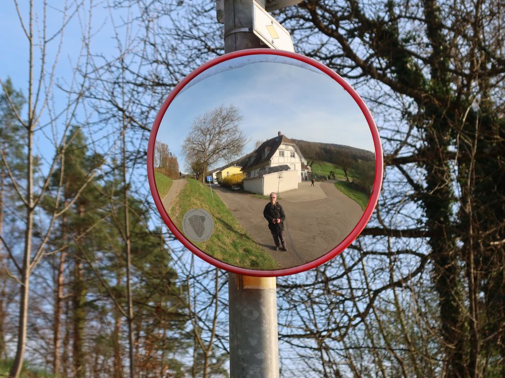 Selbstbildnis im runden Spiegel