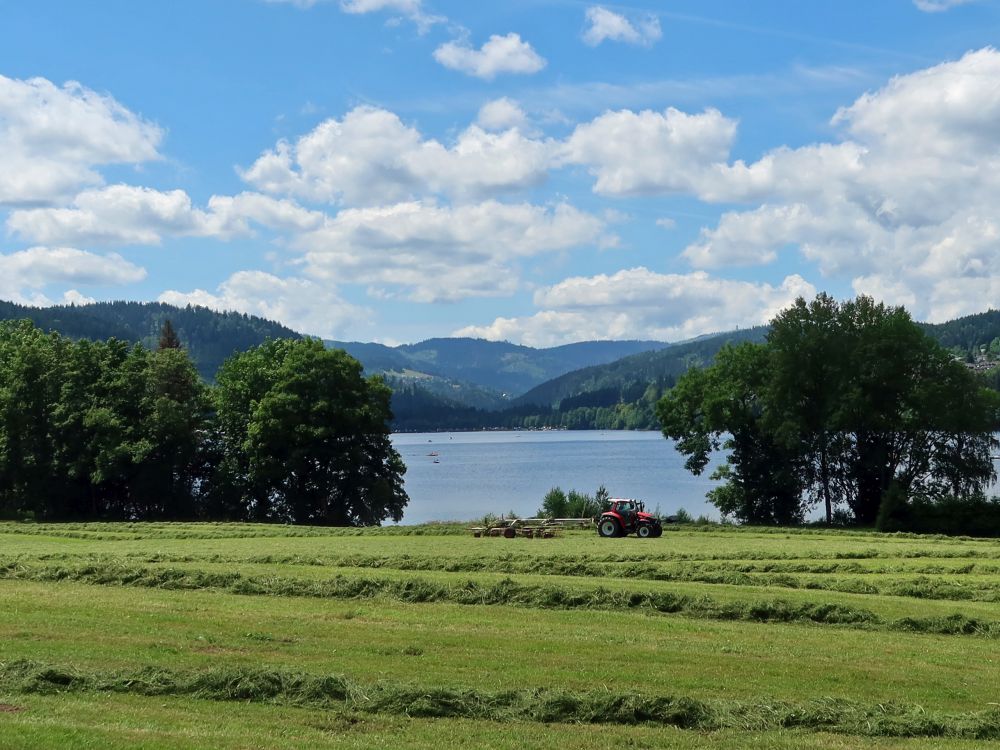 Titisee