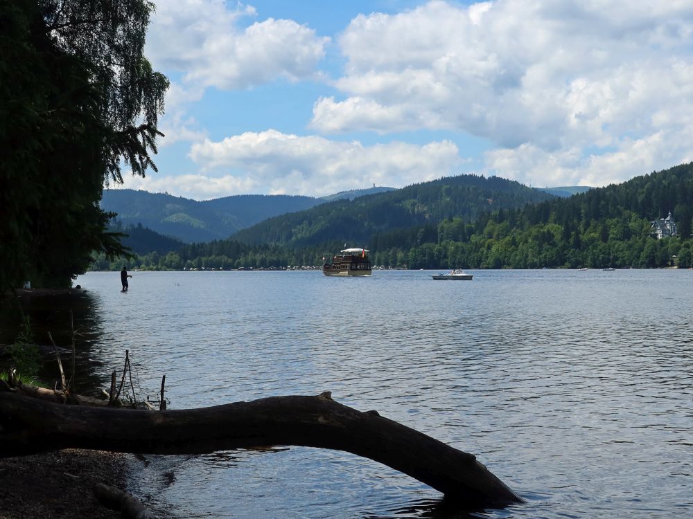 Blick Richtung Feldberg