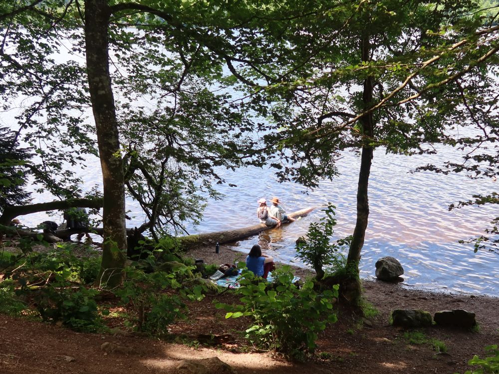 Picknick am Ufer