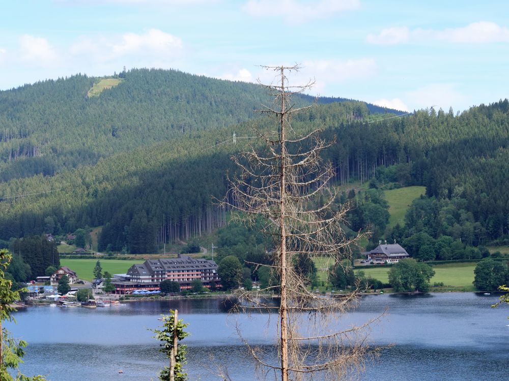 Hotels am Titisee