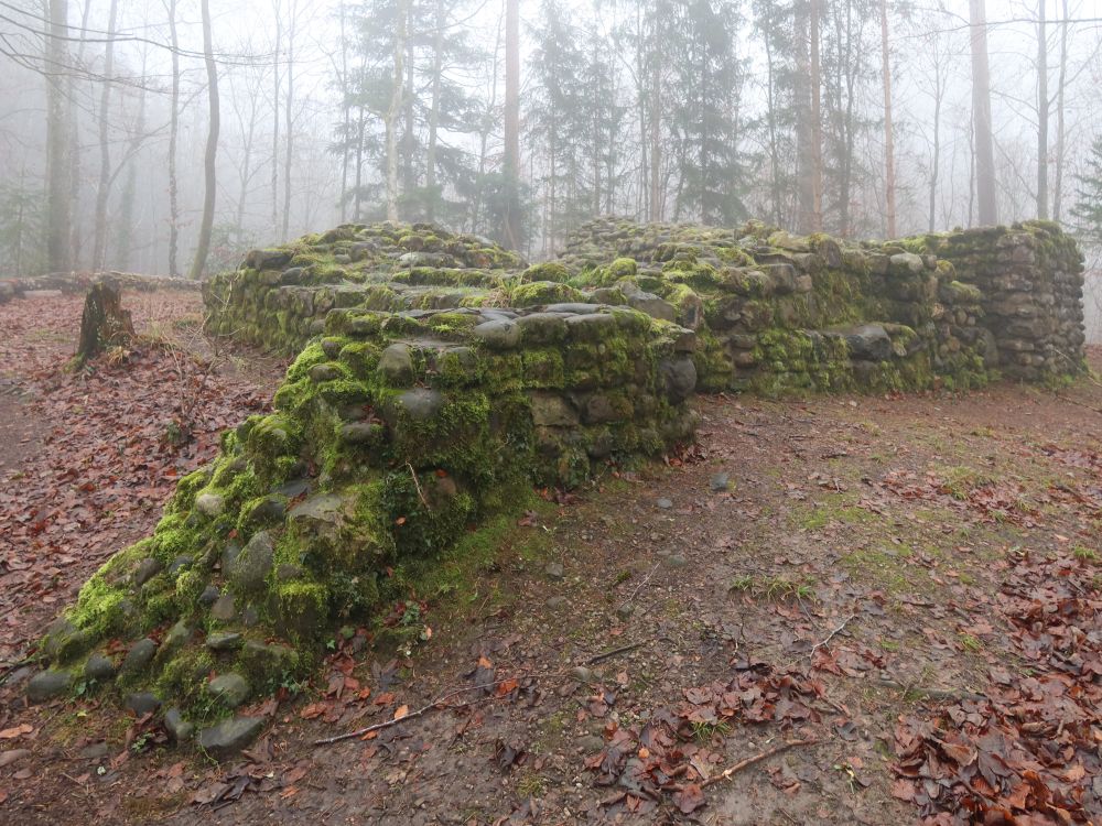 Ruine Heitenau