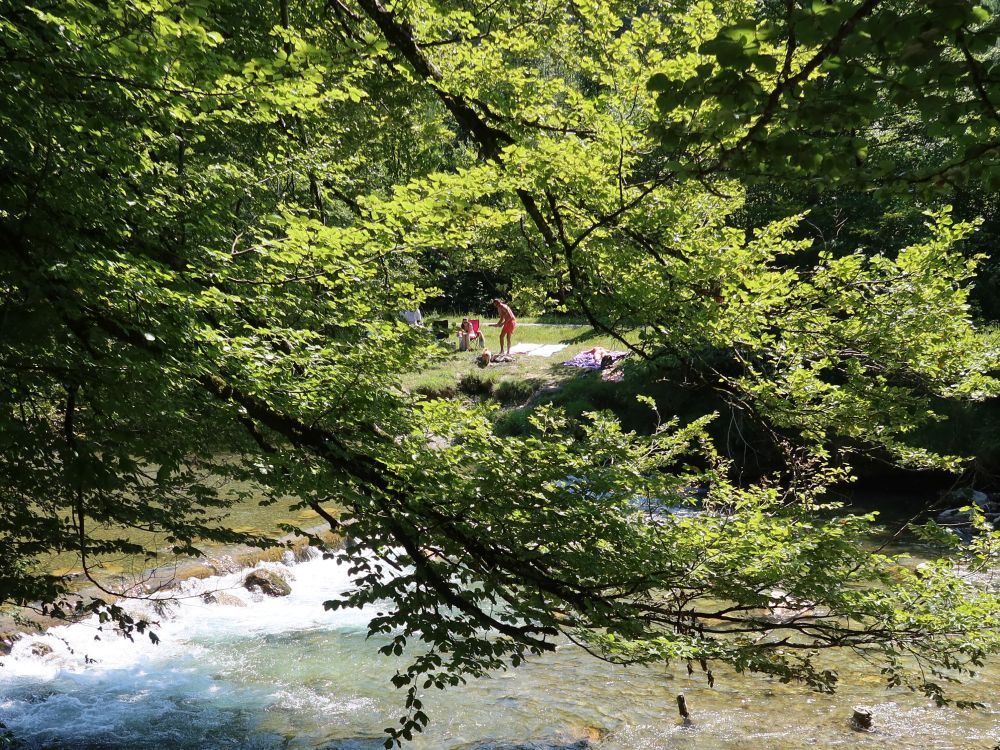 Picknick am Tössufer