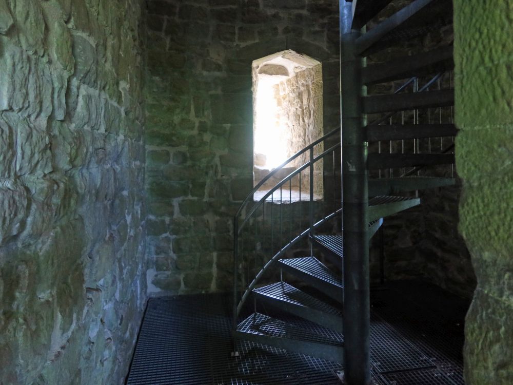Burgruine Alt Wülflingen