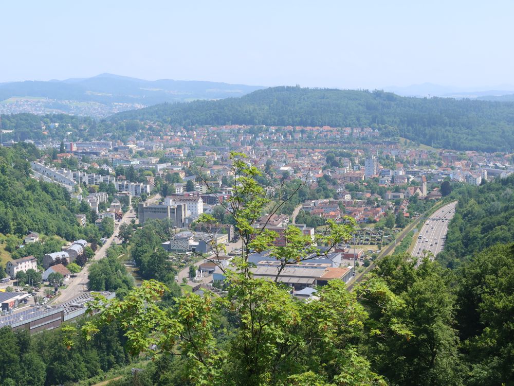 Blick auf Winterthur