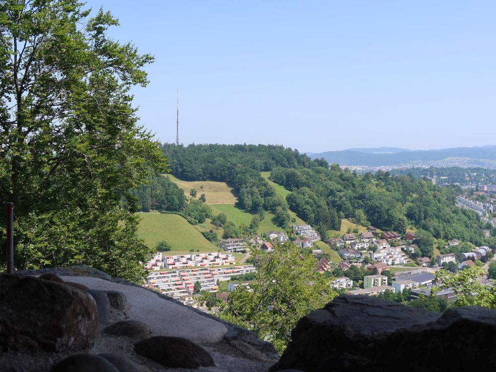 Blick zum Brüelberg