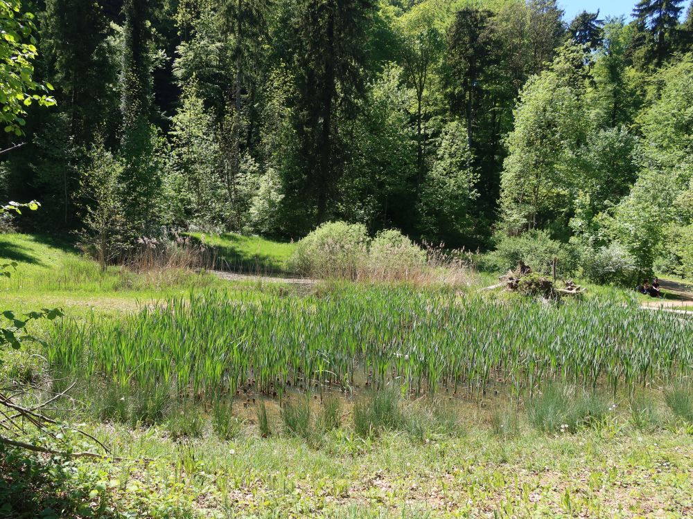 teich im Totental
