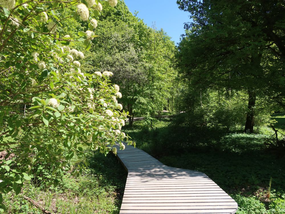 Holzsteg im Totental