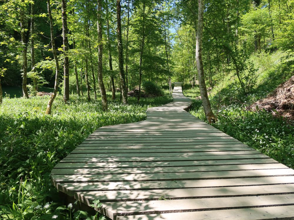 Holzsteg im Totental