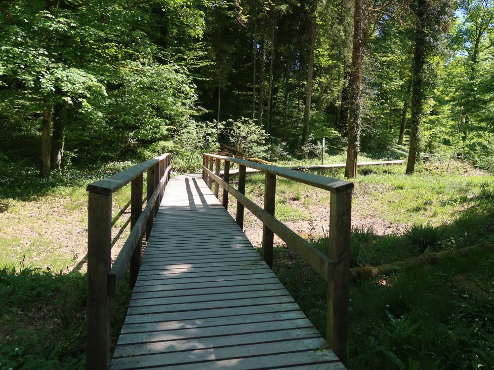 Holzsteg im Totental