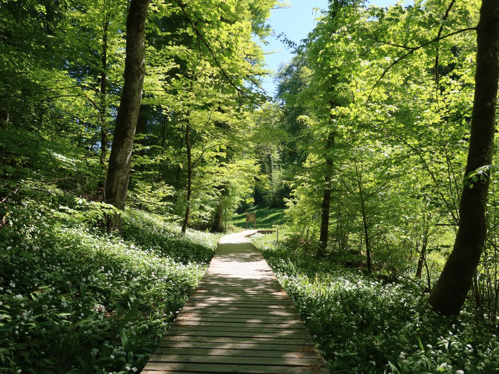 Holzsteg im Totental