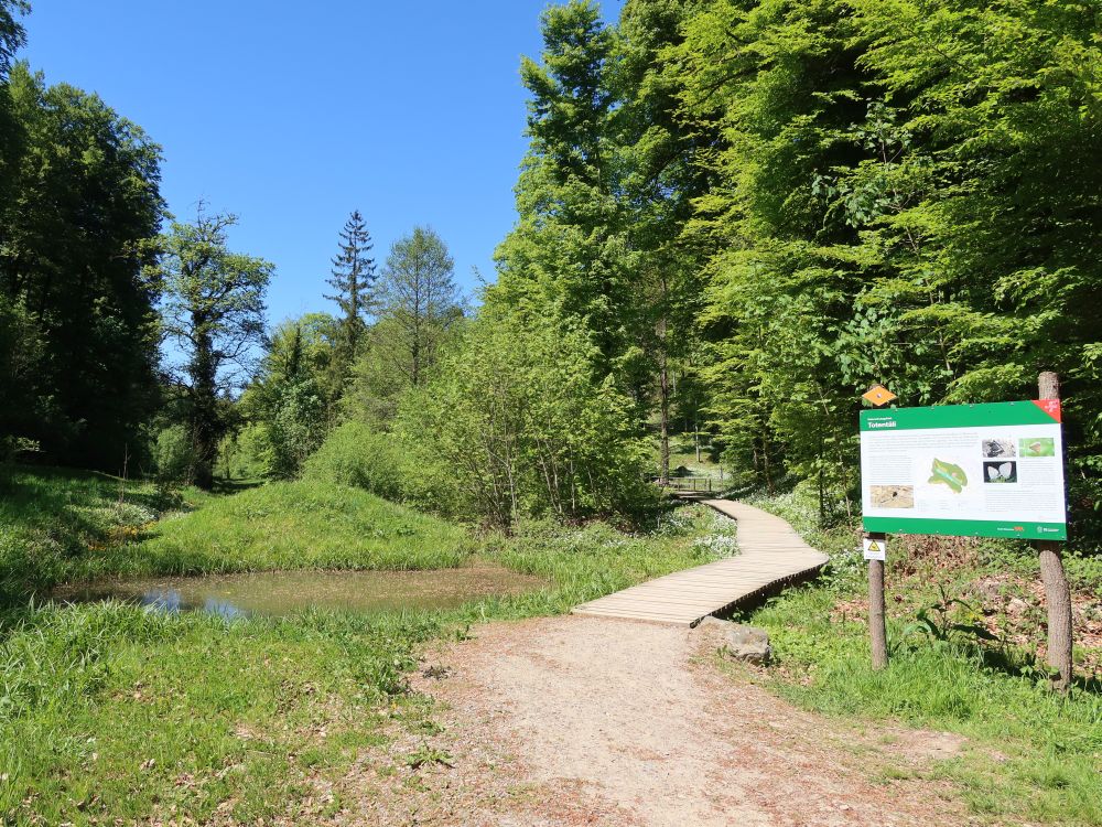 Holzsteg und Teich im Totental