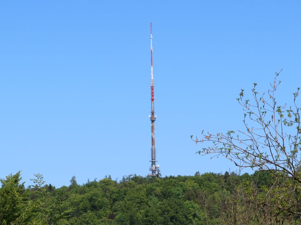 Brühlturm