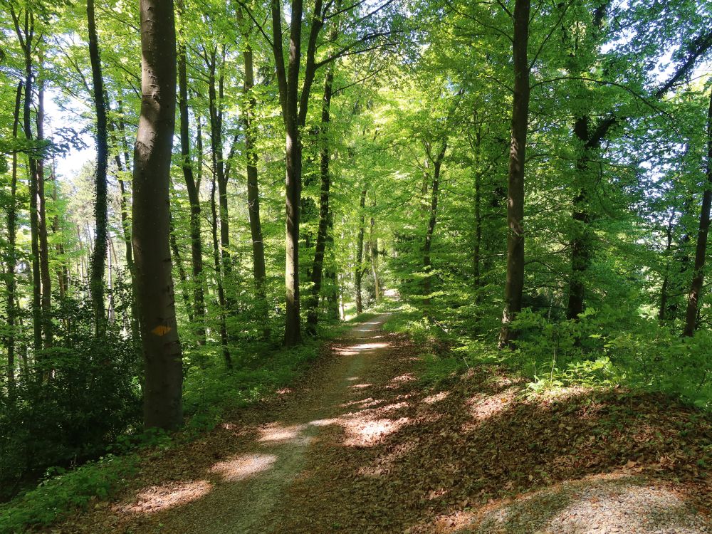 Gratweg