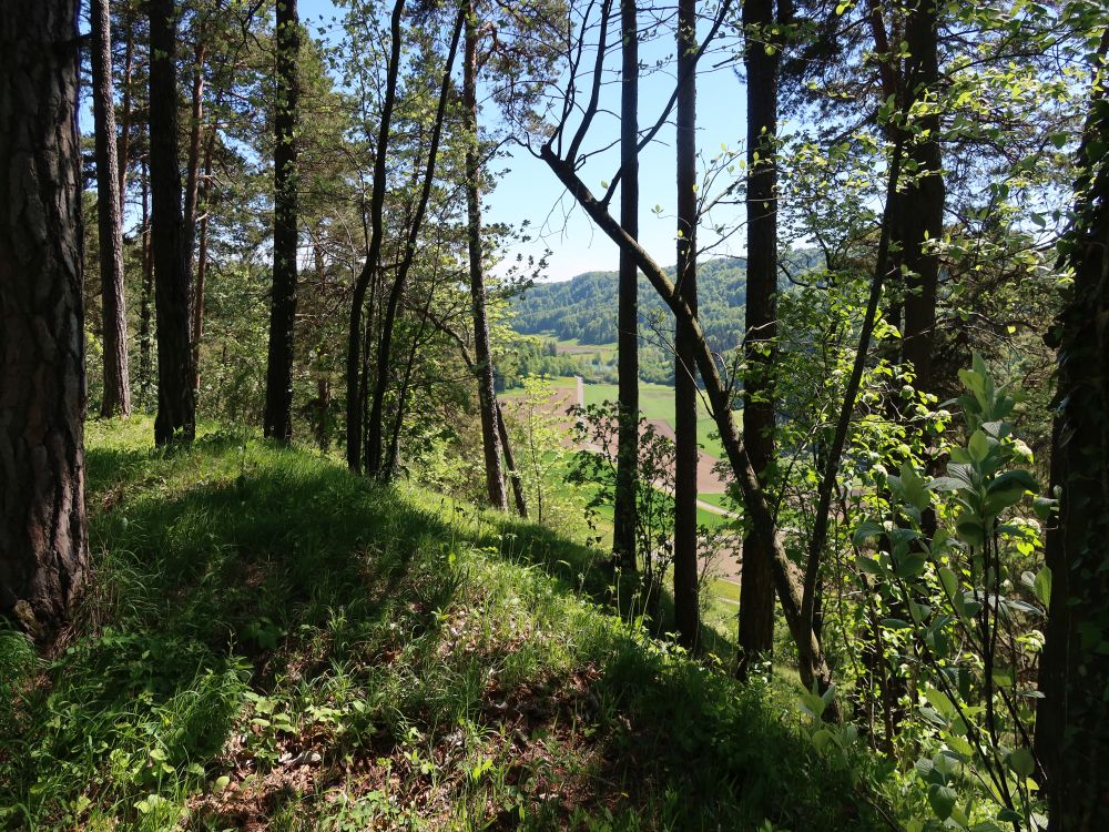 Blick auf Hinter Weier