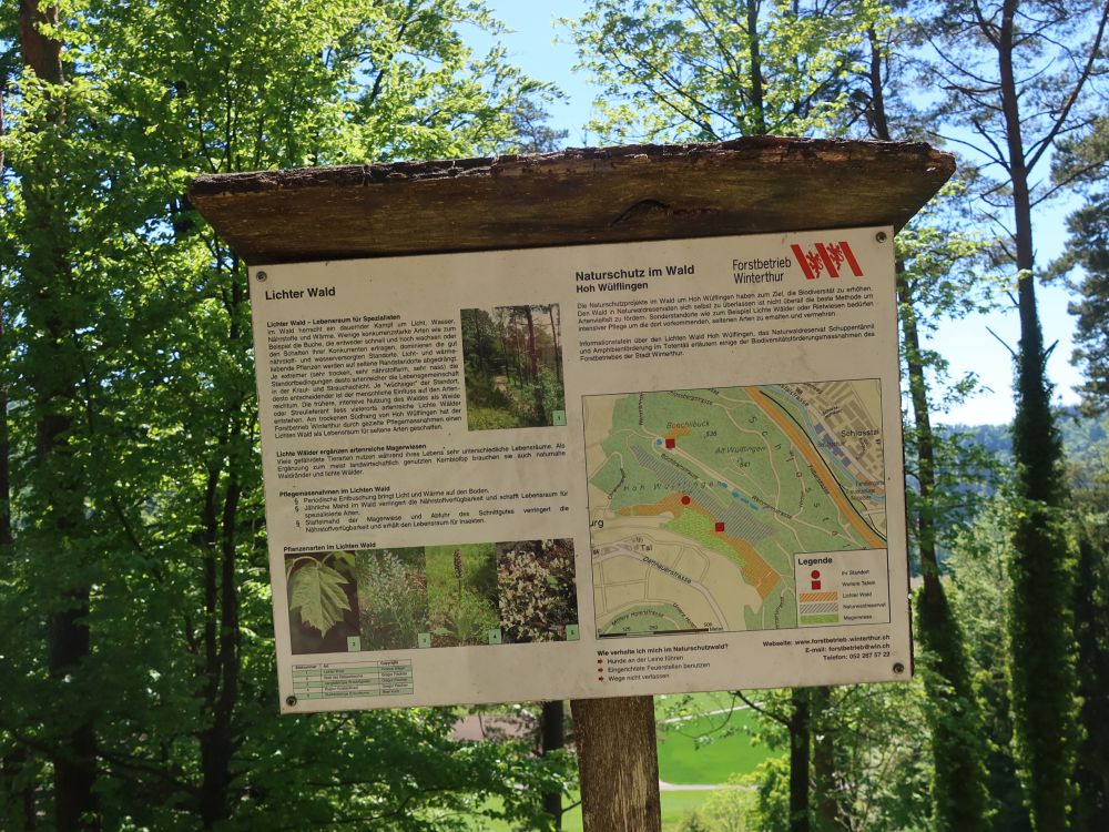 Infotafel