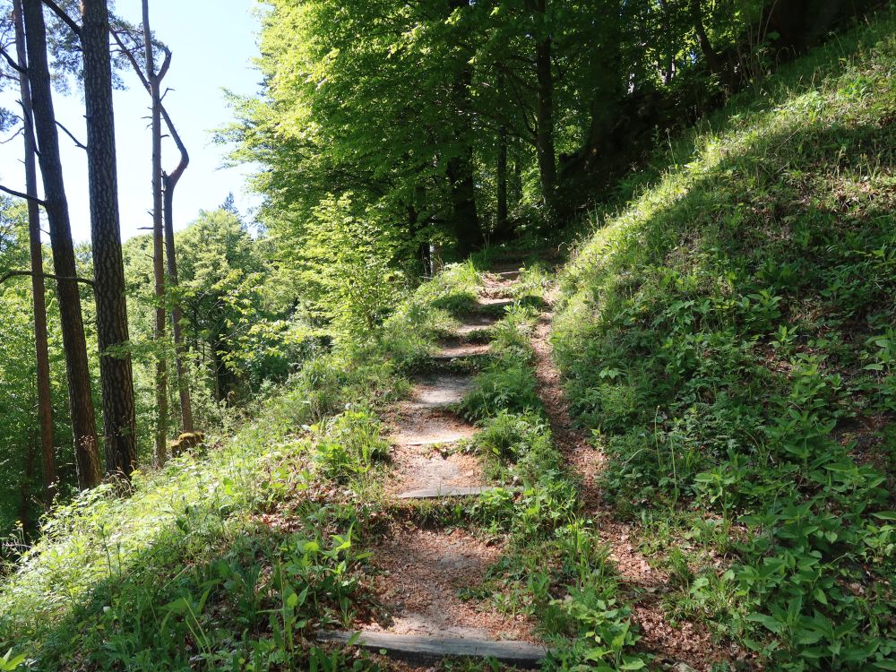 Treppe am Hoch Wülflingen