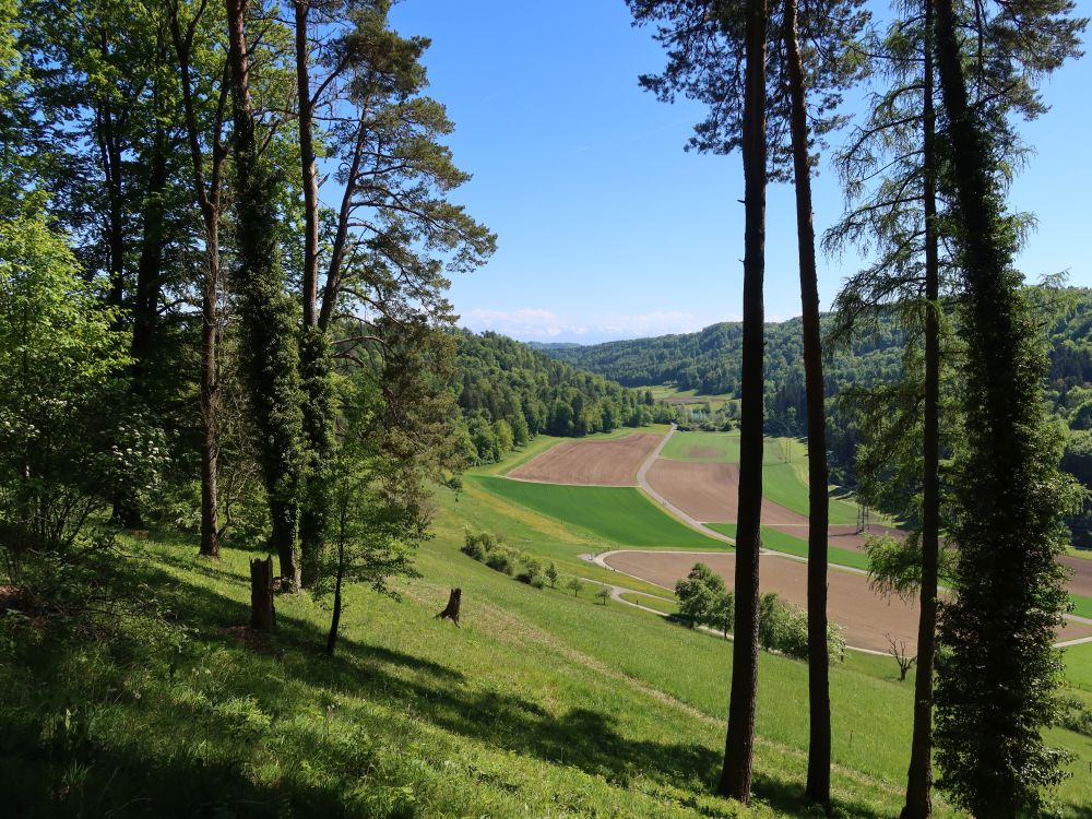 Blick auf Hinter Weier