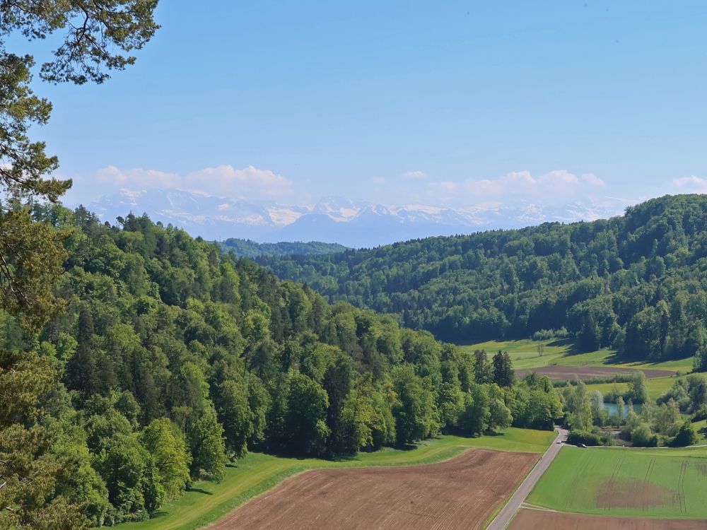 Alpen und Dättnauerweiher
