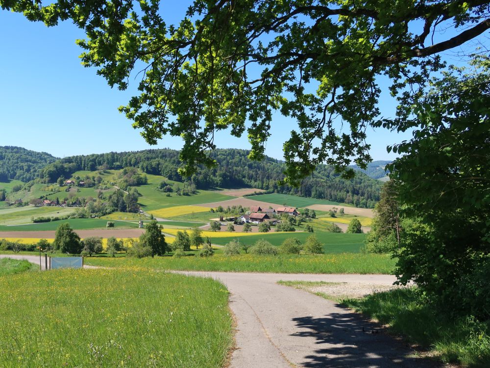 Schweikhof